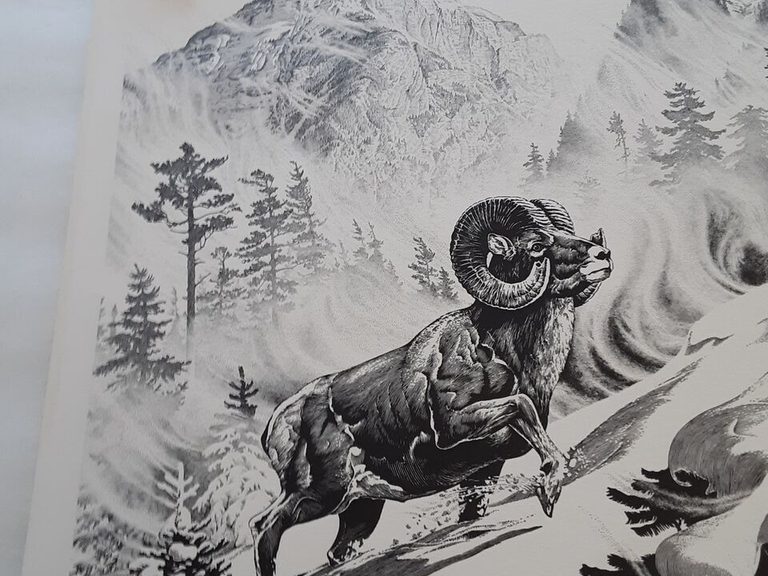 Bill Oneill 1973 Print Big Horn 11 x 15”